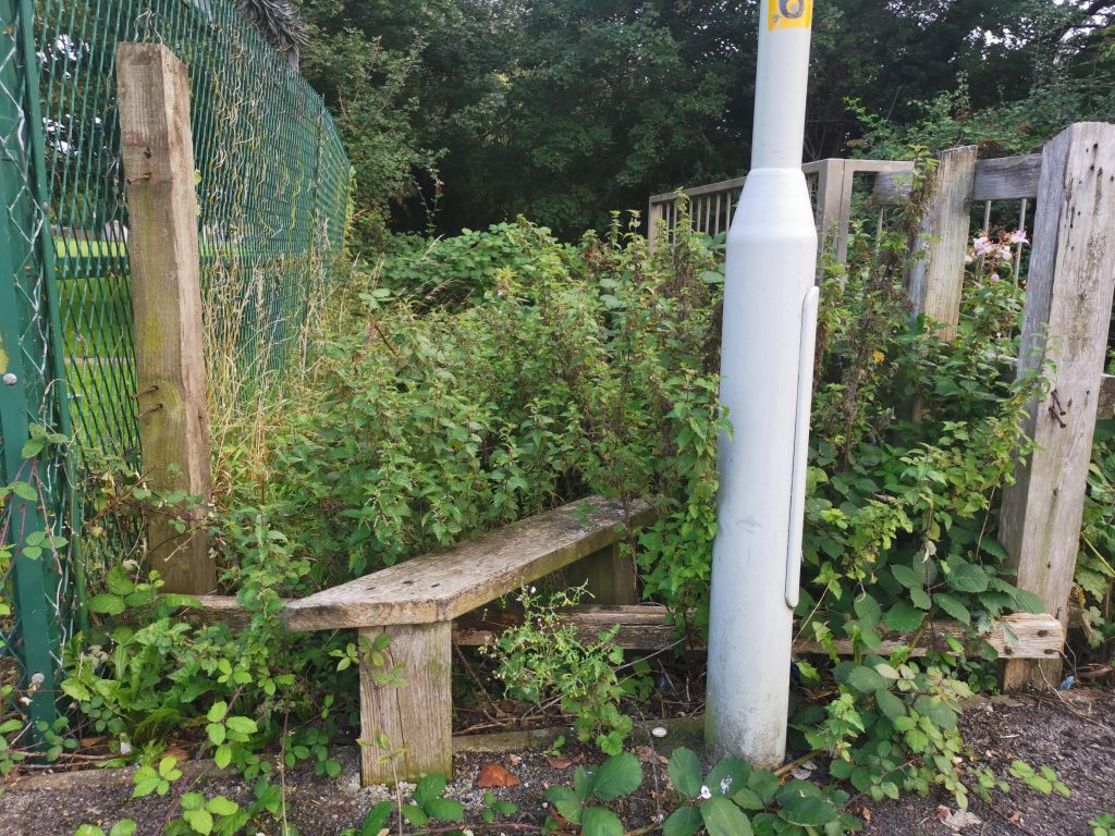 overgrown path on lilac way